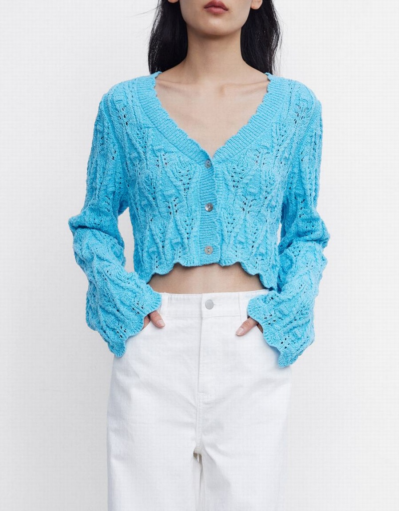 Women's Urban Revivo Pointelle Button Up Cardigan Blue | BOA6290SQ